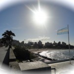 mardelplata flag